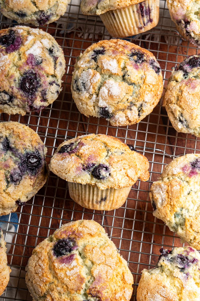 Baked blueberry muffins on a rack.