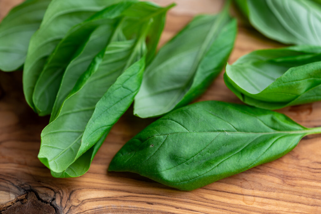 Large basil leaves scattered on a board.
