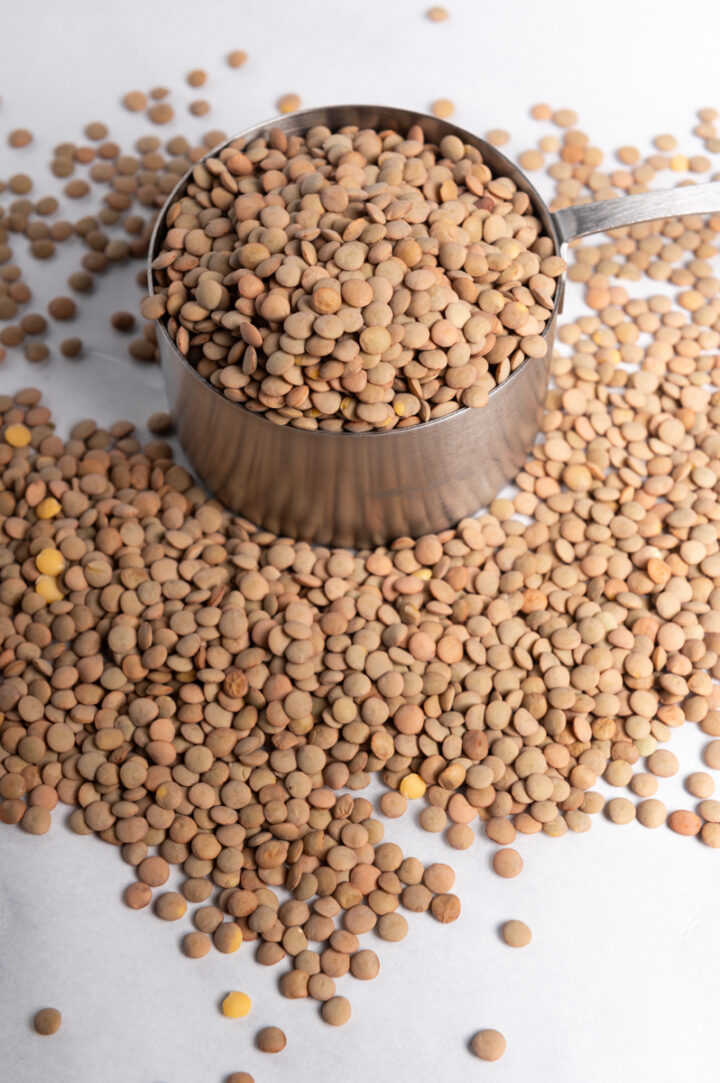 A cup of dried brown lentils.