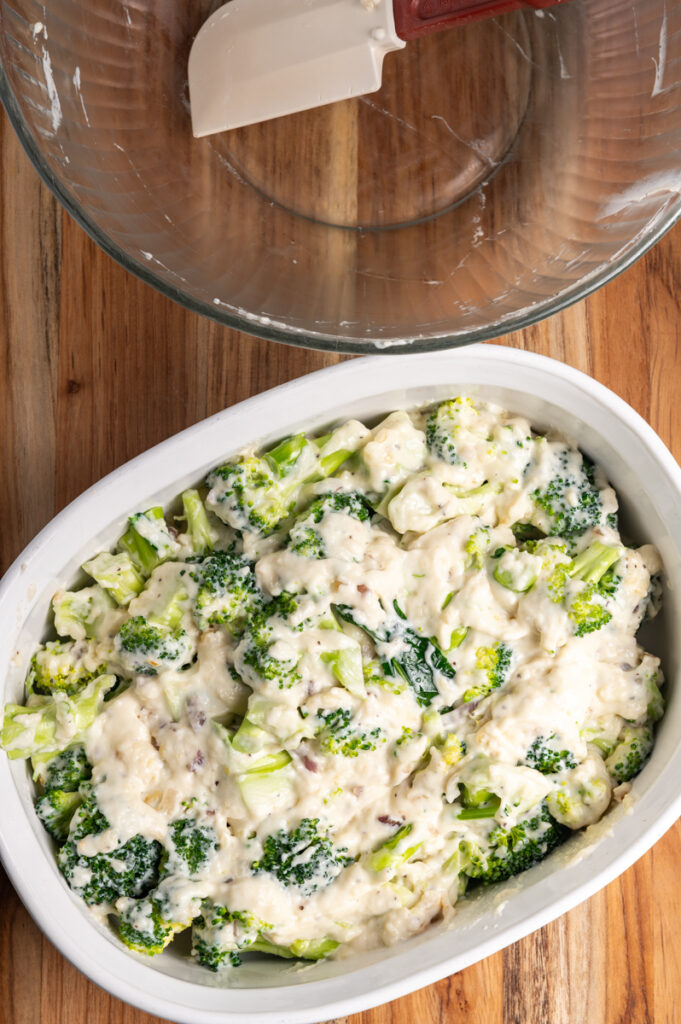 Broccoli mixed with bechemal sauce in a casserole dish.